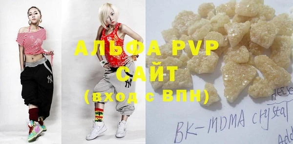 стаф Арсеньев