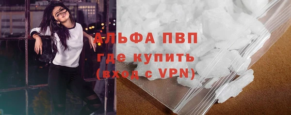 стаф Арсеньев