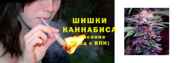 твердый Армянск