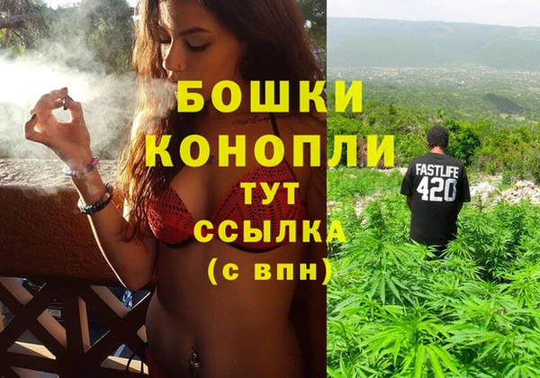 стаф Арсеньев