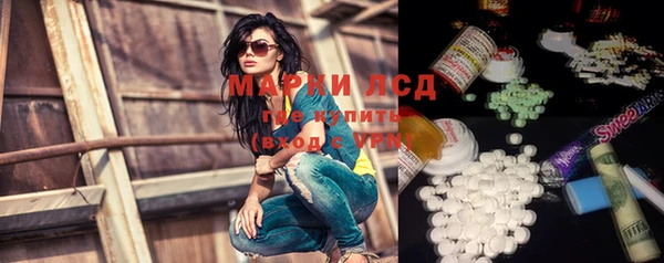 стаф Арсеньев